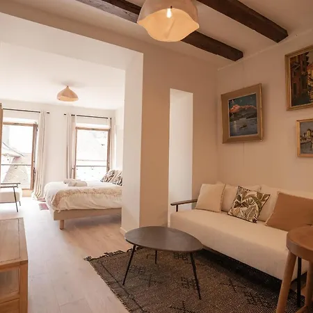 La Suite Du 10 - Nice Studio With View On The Canal And The Castle Annecy Exterior photo